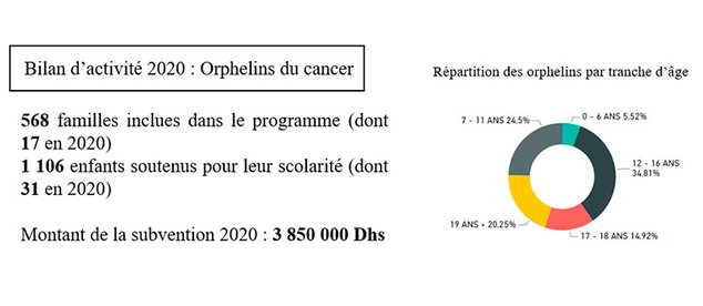 Bilan d'activité 2020 : Orphelins du cancer